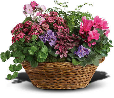 flowering basket