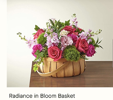 Radiance in Bloom Basket