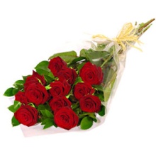 1 Dozen Long Stem Red Roses - Wrapped