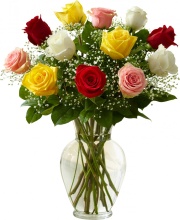 1 Dozen Premium Long Stem Assorted Roses