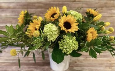 Sunflower Meadow